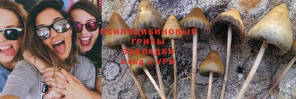 мяу мяу мука Зеленодольск