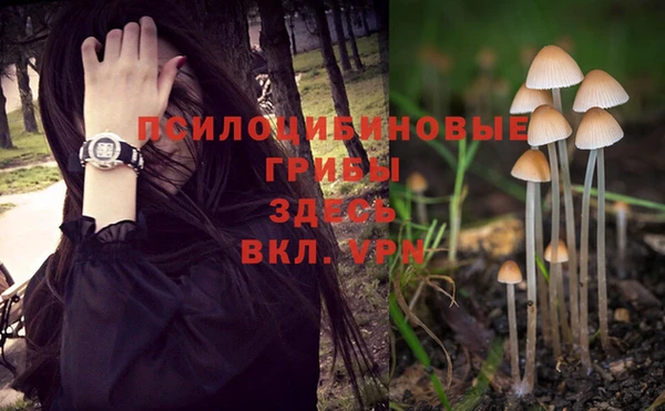 мяу мяу мука Зеленодольск