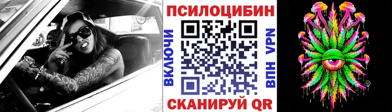 Галлюциногенные грибы мухоморы закладка Саянск