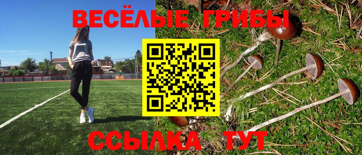 Псилоцибиновые грибы прущие грибы  Вход с VPN  Саянск  где можно купить   Псилоцибиновые грибы мицелий 