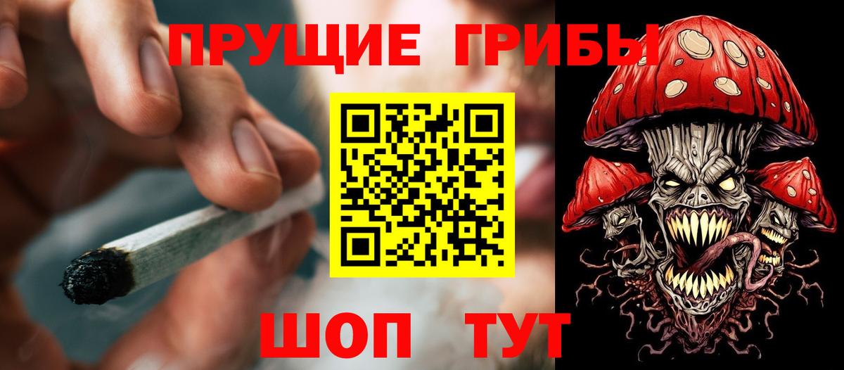 Псилоцибиновые грибы Psilocybe Саянск